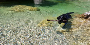 Beitragsbild des Blogbeitrags Die Ötschergräben: Wandern & Flussbaden – grün, grüner, am Grünsten. 