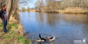 Beitragsbild des Blogbeitrags Hundstage im Kamptal: Flussbad gesucht! 