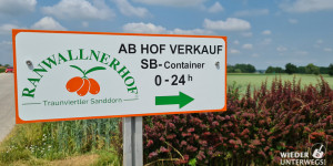 Beitragsbild des Blogbeitrags Bio Sanddorn: Das leuchtende Superfood aus Bad Hall