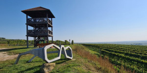 Beitragsbild des Blogbeitrags Sonntagsausflug: Vom Wein zur Donau in Feuersbrunn am Wagram 