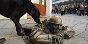 Beitragsbild des Blogbeitrags Tipps für Bratislava: Ein Citytrip mit Hund 