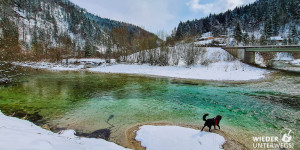 Beitragsbild des Blogbeitrags 23 Leichte Winterwanderungen in  Niederösterreich für zwischendurch 