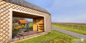 Beitragsbild des Blogbeitrags Hagenbrunn: Der Weg zum Wein – Erlebniswanderweg