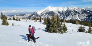 Beitragsbild des Blogbeitrags Wintersonne & Schneeschuhwandern auf der Raxalpe 