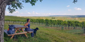 Beitragsbild des Blogbeitrags Frühling! 15 Leichte Wanderungen für die Seele. 