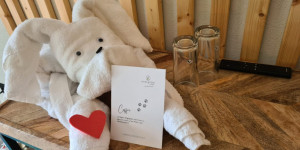 Beitragsbild des Blogbeitrags Herzlich, bunt & hundefreundlich: Das Hotel Ever.Grün in Kaprun