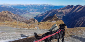 Beitragsbild des Blogbeitrags Urlaub mit Hund in Zell am See – Kaprun 