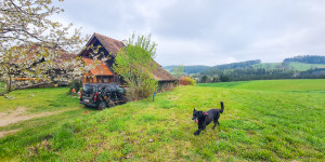 Beitragsbild des Blogbeitrags Sich Zeit lassen im Naturpark Pöllauer Tal
