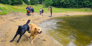 Beitragsbild des Blogbeitrags Ein Hundebadetag mit Action, Sport und Spiel