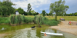 Beitragsbild des Blogbeitrags Neustart für den Sonnenland Camping Lutzmannsburg 