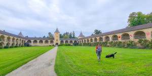 Beitragsbild des Blogbeitrags Die Rosenburg: Führung, Falknerei und Hunde willkommen