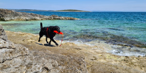 Beitragsbild des Blogbeitrags Meine Top 8 Campingplätze in Kroatien mit Hundestrand
