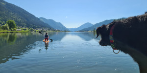 Beitragsbild des Blogbeitrags Seecamping Müller: Camping wie früher am Weissensee 