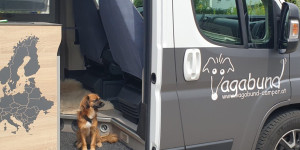 Beitragsbild des Blogbeitrags Wohnmobil mieten in Österreich: Hunde erlaubt?