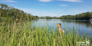 Beitragsbild des Blogbeitrags 50 erfrischende Tipps für Sommerfrische in Niederösterreich