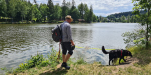 Beitragsbild des Blogbeitrags Das SchrammelKlang Festival in Litschau