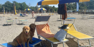 Beitragsbild des Blogbeitrags Der Hundestrand in Grado: Willkommen am Snoopy Beach