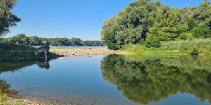 Beitragsbild des Blogbeitrags Die schönsten Naturbadeplätze im Nationalpark Donauauen