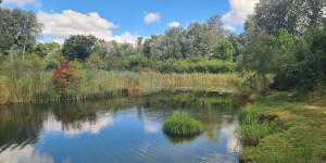 Beitragsbild des Blogbeitrags Baden rund um die Lobau: 6 Naturbadeplätze, die sich echt lohnen
