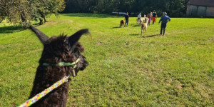 Beitragsbild des Blogbeitrags Jetzt mal langsam: Slow Trips in der Oststeiermark