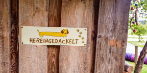 Beitragsbild des Blogbeitrags 23 Hundefreundliche Ausflugsziele, die im Winter geöffnet sind