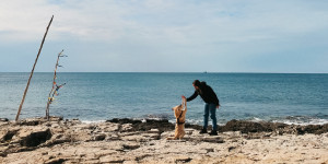 Beitragsbild des Blogbeitrags Rovinj: Winter Urlaub mit Hund am Meer 
