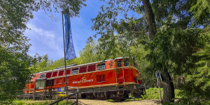 Beitragsbild des Blogbeitrags Schiene frei für den Reblaus Express!