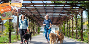 Beitragsbild des Blogbeitrags Ab sofort verfügbar – Das Buch: 33 Hundebadeplätze im Osten Österreichs