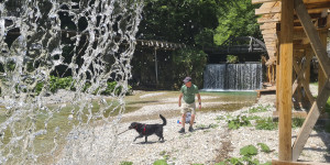 Beitragsbild des Blogbeitrags Immer am Wasser: Auf dem Holzweg ins Mendlingtal