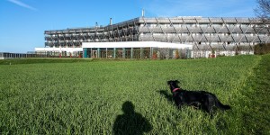 Beitragsbild des Blogbeitrags Workout, Wandern und Wellness: Mit Hund im Mühlviertel
