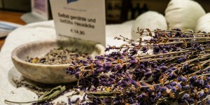 Beitragsbild des Blogbeitrags „Bauch gut – alles gut.“ Bei den Marienschwestern in Bad Mühllacken.