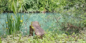 Beitragsbild des Blogbeitrags Runterkommen an der Kolpa: Geheimtipp Bela Krajina