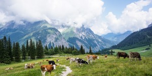 Beitragsbild des Blogbeitrags Mehrtagestour am Adlerweg: Von Pertisau am Achensee übers Karwendelhaus nach Scharnitz 