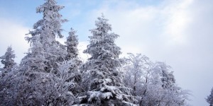 Beitragsbild des Blogbeitrags Winter-Wanderung im Schnee: Schabenreitnerstein, Gradnalm und Pfannstein vom Ziehbergsattel