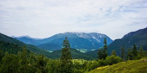 Beitragsbild des Blogbeitrags Adlerweg Etappe 6: Vom Gwercherwirt zum Gasthof Waldhäusl in Steinberg 