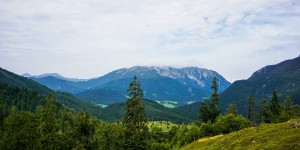 Beitragsbild des Blogbeitrags Adlerweg Etappe 6: Vom Gwercherwirt zum Gasthof Waldhäusl in Steinberg