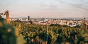 Beitragsbild des Blogbeitrags Die schönsten Ausflugsziele rund um Wien