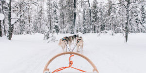 Beitragsbild des Blogbeitrags Salla in Finnland: Ein magischer Winterurlaub in Lappland 