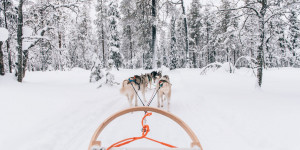 Beitragsbild des Blogbeitrags Salla in Finnland: Ein magischer Winterurlaub in Lappland