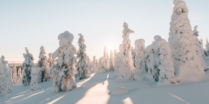 Beitragsbild des Blogbeitrags Posio: Unser Geheimtipp für Finnisch Lappland