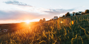 Beitragsbild des Blogbeitrags Urlaub im Südburgenland: Ausflugsziele & Tipps