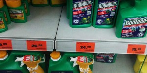 Beitragsbild des Blogbeitrags Monsantos neues Roundup ohne Glyphosat ist Essig 