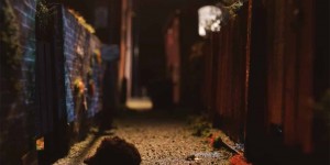 Beitragsbild des Blogbeitrags Igel Animationsfilm: Hedgehog Close