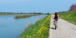 Beitragsbild des Blogbeitrags Rendevouz mit Flamingos. Vier herrliche Radtouren im Po-Delta 