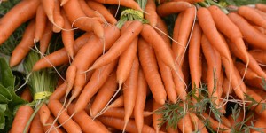 Beitragsbild des Blogbeitrags VEGAN BABY SPECIAL | Vegane Ernährung in der Schwangerschaft, Stillzeit und danach