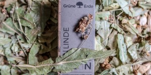 Beitragsbild des Blogbeitrags Knospenpower von Grüne Erde