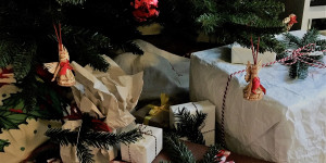 Beitragsbild des Blogbeitrags So feiern wir vegane Weihnachten!