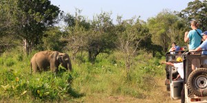 Beitragsbild des Blogbeitrags Safari mit Kindern im Yala Nationalpark Sri Lanka