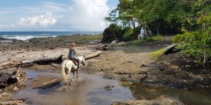 Beitragsbild des Blogbeitrags Kinderfreundliche Aktivitäten in Tambor, gelegen auf der Nicoya Halbinsel in Costa Rica 