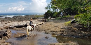 Beitragsbild des Blogbeitrags Kinderfreundliche Aktivitäten in Tambor, gelegen auf der Nicoya Halbinsel in Costa Rica